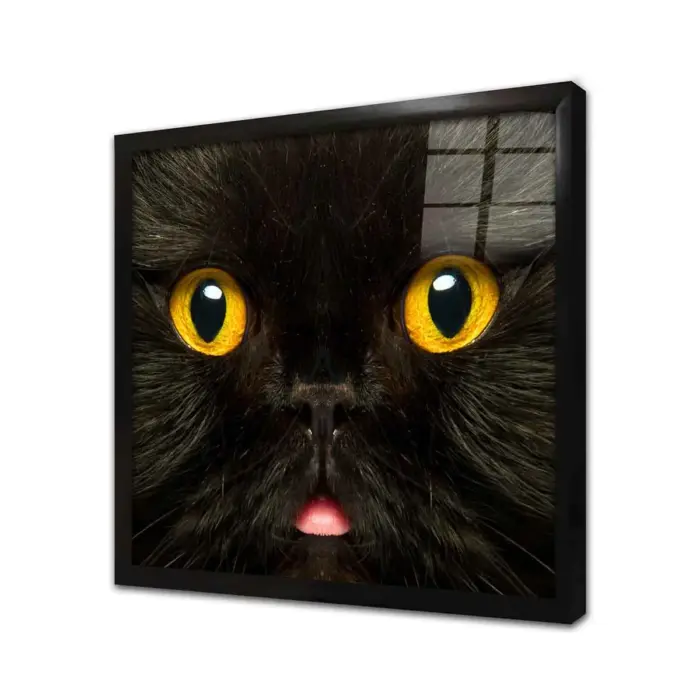 Kedi | Kanvas Tablo | Cam Tablo | Mdf Tablo | A32275 - Görsel 3