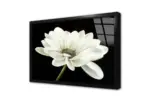 Siyah Beyaz Çiçek | Kanvas Tablo | Cam Tablo | Mdf Tablo | B03019 - Görsel 3