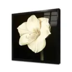 Siyah Beyaz Çiçek | Kanvas Tablo | Cam Tablo | Mdf Tablo | B03023 - Görsel 3