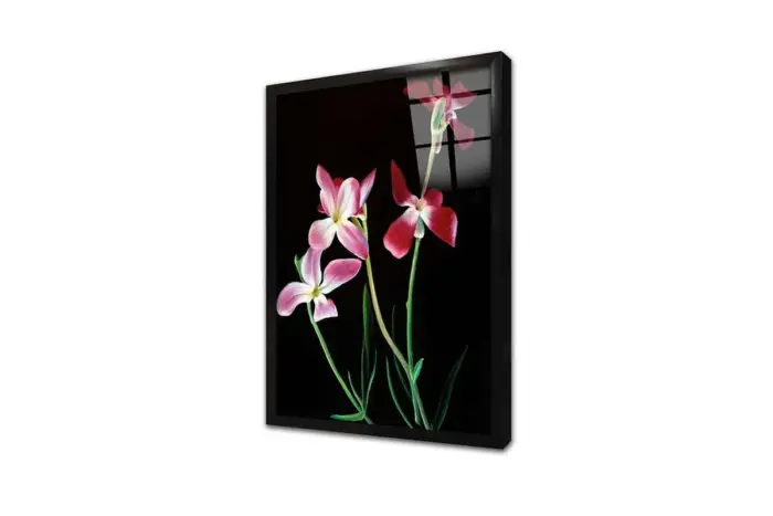 Pembe Çiçek | Kanvas Tablo | Cam Tablo | Mdf Tablo | B03053 - Görsel 3