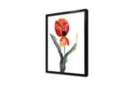 Lale | Kanvas Tablo | Cam Tablo | Mdf Tablo | B03389 - Görsel 3