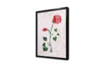 Kırmızı Gül | Kanvas Tablo | Cam Tablo | Mdf Tablo | B03420 - Görsel 3