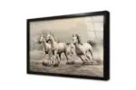 Koşan Dörtlü Beyaz At | Kanvas Tablo | Cam Tablo | Mdf Tablo | B15089 - Görsel 3