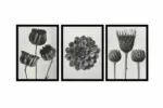 Siyah Beyaz Çiçekler Üçlü Kanvas Tablo | Cam Tablo | Mdf Tablo Seti | B33139 - Görsel 8