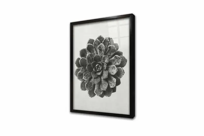 Siyah Beyaz Çiçekler Üçlü Kanvas Tablo | Cam Tablo | Mdf Tablo Seti | B33139 - Görsel 9