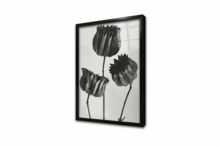 Siyah Beyaz Çiçekler Üçlü Kanvas Tablo | Cam Tablo | Mdf Tablo Seti | B33139 - Görsel 10
