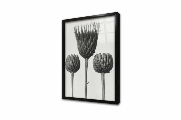 Siyah Beyaz Çiçekler Üçlü Kanvas Tablo | Cam Tablo | Mdf Tablo Seti | B33139 - Görsel 11