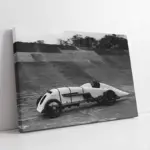 Yarışan Klasik Spor Araba | Kanvas Tablo | Cam Tablo | Mdf Tablo | A01124