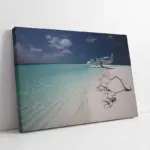 Kıyıda Deniz Uçağı | Kanvas Tablo | Cam Tablo | Mdf Tablo | A01162