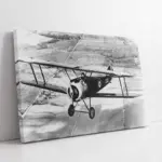 Çift Kanatlı Nostaljik Uçak | Kanvas Tablo | Cam Tablo | Mdf Tablo | A01192