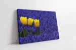 Sarı Laleler Ve Lavantalar | Kanvas Tablo | Cam Tablo | Mdf Tablo | A03057