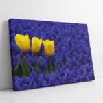 Sarı Laleler Ve Lavantalar | Kanvas Tablo | Cam Tablo | Mdf Tablo | A03057