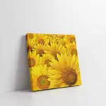 Ayçiçekleri | Kanvas Tablo | Cam Tablo | Mdf Tablo | A03068