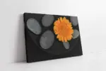 Turuncu Aster Ve Spa Taşları | Kanvas Tablo | Cam Tablo | Mdf Tablo | A03101