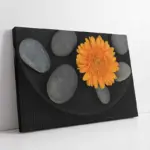 Turuncu Aster Ve Spa Taşları | Kanvas Tablo | Cam Tablo | Mdf Tablo | A03101