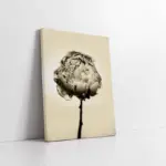 Kar Beyaz Çiçek | Kanvas Tablo | Cam Tablo | Mdf Tablo | A03156