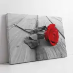 Kırmızı Gül | Kanvas Tablo | Cam Tablo | Mdf Tablo | A03157