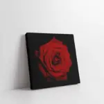Siyah Fon Üzerinde Kırmızı Gül | Kanvas Tablo | Cam Tablo | Mdf Tablo | A03164
