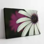 Taç Yaprağı | Kanvas Tablo | Cam Tablo | Mdf Tablo | A03166