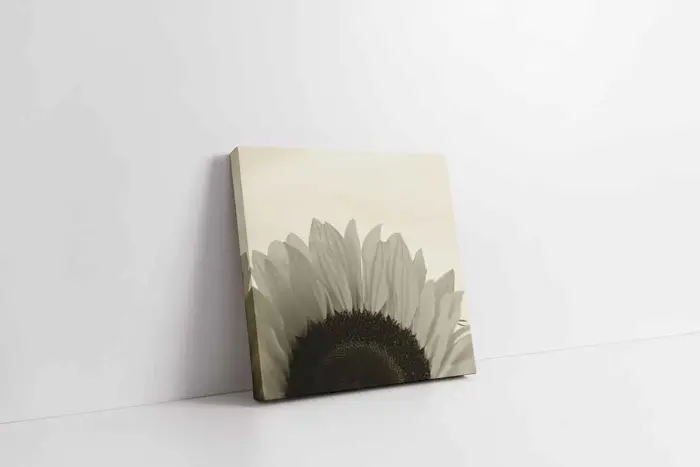 Makro Çekim Beyaz Çiçek | Kanvas Tablo | Cam Tablo | Mdf Tablo | A03169 - Görsel 1