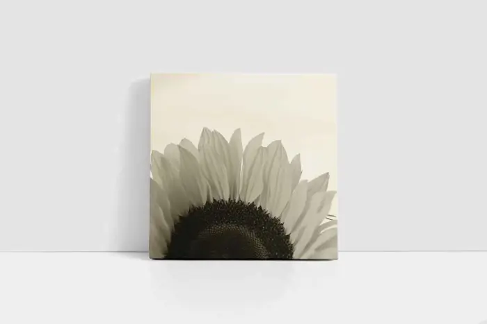 Makro Çekim Beyaz Çiçek | Kanvas Tablo | Cam Tablo | Mdf Tablo | A03169 - Görsel 2