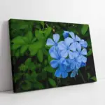 Mavi Çiçek | Kanvas Tablo | Cam Tablo | Mdf Tablo | A03170