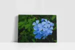 Mavi Çiçek | Kanvas Tablo | Cam Tablo | Mdf Tablo | A03170 - Görsel 2