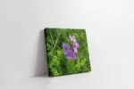 Mor Menekşeler | Kanvas Tablo | Cam Tablo | Mdf Tablo | A03171