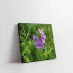 Mor Menekşeler | Kanvas Tablo | Cam Tablo | Mdf Tablo | A03171