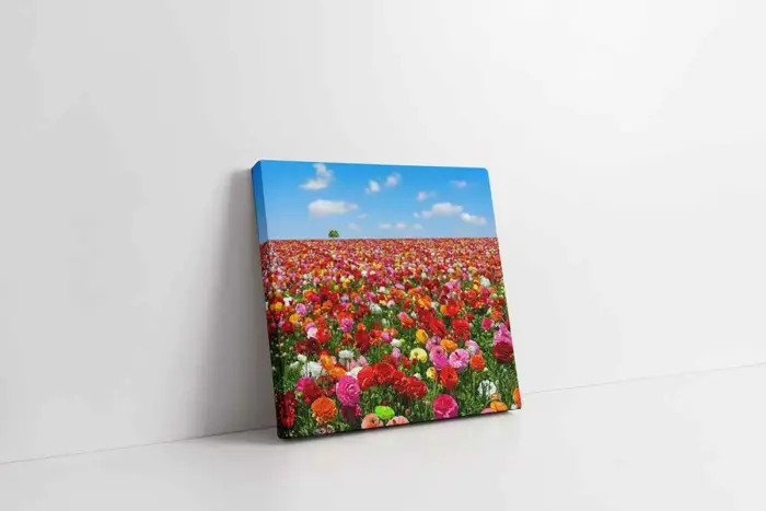 Çiçek Bahçesi | Kanvas Tablo | Cam Tablo | Mdf Tablo | A03179 - Görsel 1