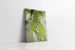 Yaprak | Kanvas Tablo | Cam Tablo | Mdf Tablo | A03180