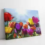 Çiçek Bahçesi | Kanvas Tablo | Cam Tablo | Mdf Tablo | A03192