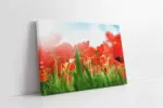 Kırmızı Çiçekler | Kanvas Tablo | Cam Tablo | Mdf Tablo | A03197