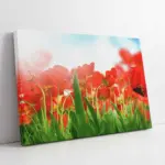 Kırmızı Çiçekler | Kanvas Tablo | Cam Tablo | Mdf Tablo | A03197