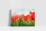 Kırmızı Çiçekler | Kanvas Tablo | Cam Tablo | Mdf Tablo | A03197 - Görsel 2