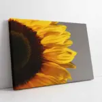 Ayçiçeği | Kanvas Tablo | Cam Tablo | Mdf Tablo | A03201