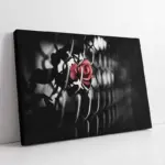 Siyah Fon Üzerinde Kırmızı Gül | Kanvas Tablo | Cam Tablo | Mdf Tablo | A03202