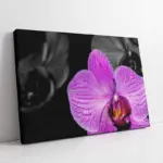 Mor Çiçek | Kanvas Tablo | Cam Tablo | Mdf Tablo | A03212