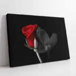 Siyah Fonda Kırmızı Gül | Kanvas Tablo | Cam Tablo | Mdf Tablo | A03215