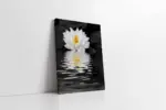Beyaz Çiçeğin Suya Yansıması | Kanvas Tablo | Cam Tablo | Mdf Tablo | A03218