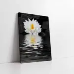 Beyaz Çiçeğin Suya Yansıması | Kanvas Tablo | Cam Tablo | Mdf Tablo | A03218