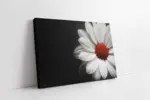 Siyah Fonda Beyaz Çiçek | Kanvas Tablo | Cam Tablo | Mdf Tablo | A03222
