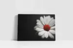 Siyah Fonda Beyaz Çiçek | Kanvas Tablo | Cam Tablo | Mdf Tablo | A03222 - Görsel 2