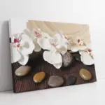 Taşlar Ve Çiçekler | Kanvas Tablo | Cam Tablo | Mdf Tablo | A03224