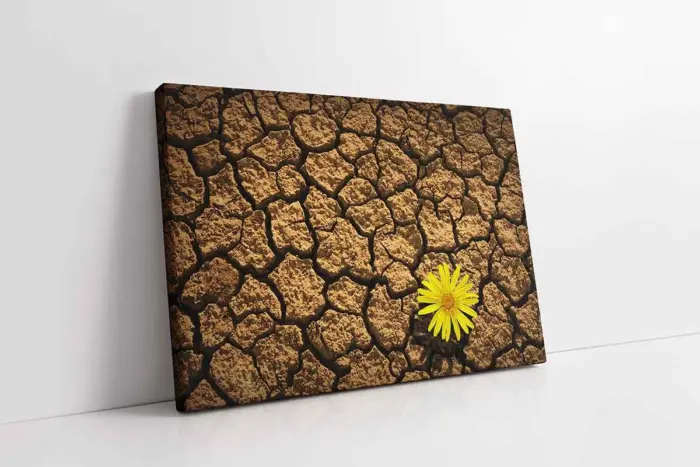 Sarı Çiçek | Kanvas Tablo | Cam Tablo | Mdf Tablo | A03225 - Görsel 1