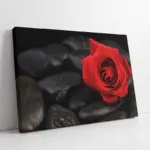 Taşların Üzerinde Kırmızı Gül | Kanvas Tablo | Cam Tablo | Mdf Tablo | A03226
