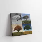 Dört Mevsim Ağaç | Kanvas Tablo | Cam Tablo | Mdf Tablo | A03229