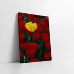 Kırmızı Laleler Arasında Sarı Lale | Kanvas Tablo | Cam Tablo | Mdf Tablo | A03230