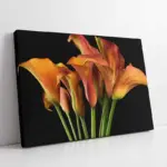 Çiçek | Kanvas Tablo | Cam Tablo | Mdf Tablo | A03235