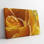 Sarı Gül Yakın Çekim | Kanvas Tablo | Cam Tablo | Mdf Tablo | A03240